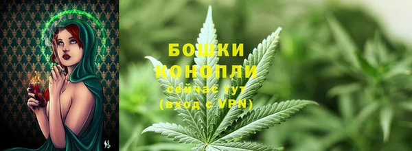 дурь Киреевск