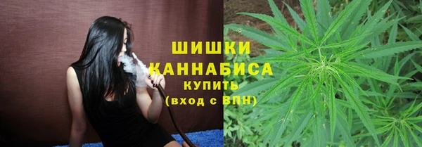 дурь Киреевск