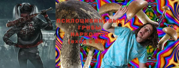 дурь Киреевск