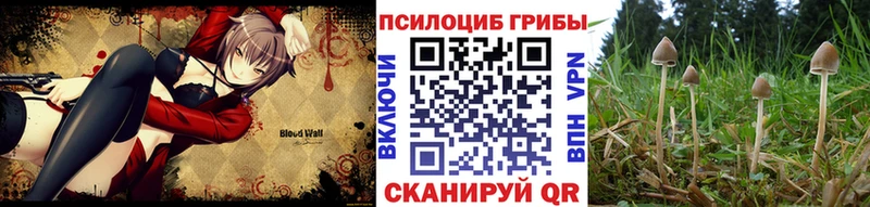 Купить где  Котельниково  Псилоцибиновые грибы ЛСД 