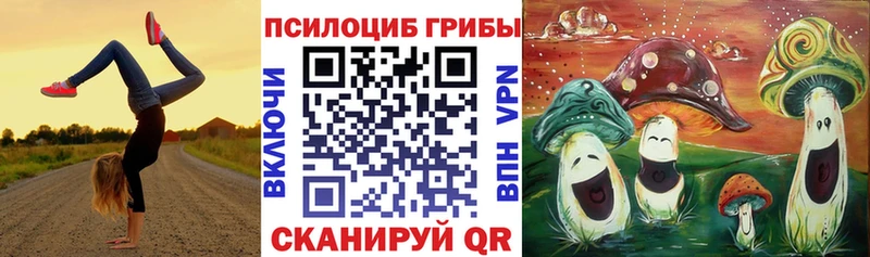 Галлюциногенные грибы MAGIC MUSHROOMS Котельниково